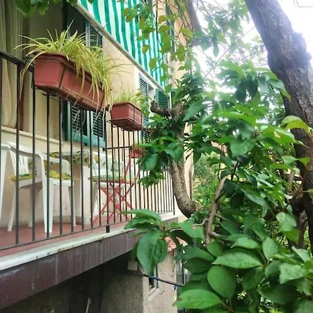 Cuore Di Mare Levanto